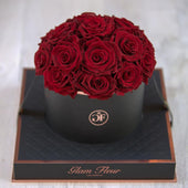 Noir Square Red
