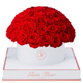 Blanche Grande Round Light Red